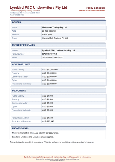 Synthetic insurance policy schedule specimen